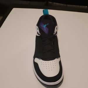 Jordan Fadeaway charlotte colorway